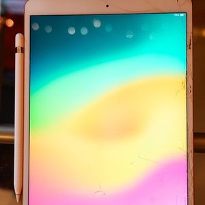 Apple iPad Air (2019) Rose Gold